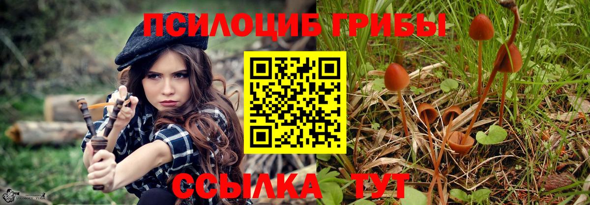 Лениногорск  Галлюциногенные грибы ЛСД  Вход с VPN 